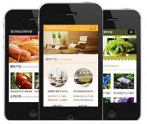 手機網(wǎng)站怎樣做才更有效果？如何做優(yōu)化？
