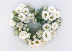 5.12 | 國際護(hù)士節(jié)，預(yù)祝5.14 | 母親節(jié)快樂！