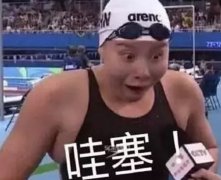 做好SEO，必須知道的這幾句實(shí)話！