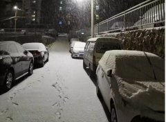青島！大雪！大愛！