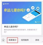 騰訊信用分全國公測，查了一下之后懵逼了。。