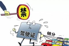 青島的朋友們注意啦，9月起禁止使用他人駕照銷