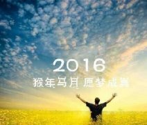 個人網(wǎng)站建設、方案與定位