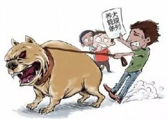 青島10月份一大波勁爆消息，你知道嗎？