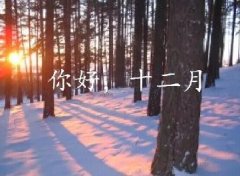 抓住2016年的尾巴給自己充充電！12月，加油！