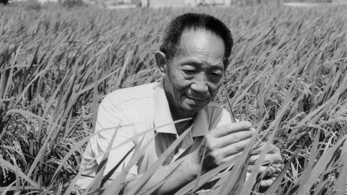沉痛哀悼！袁隆平院士逝世